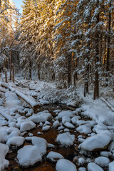 Zimowy strumień w górach © Izabela&Grzegorz