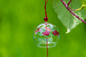 緑を背景に揺れる金魚柄の風鈴