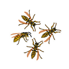 Vector Colorful Valentines Day Illustration of Swarm of Wasps Isolated on White Background
