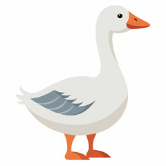 white goose isolated on white