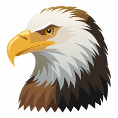 bald eagle head