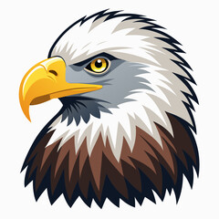 american bald eagle