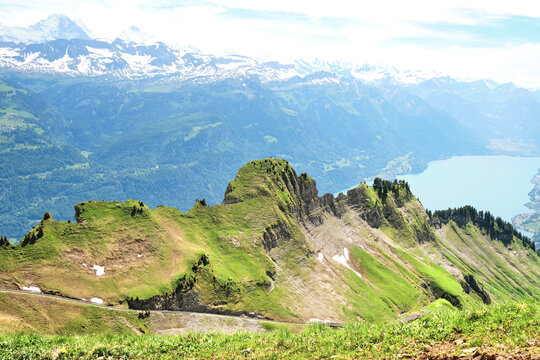 A breathtaking view of the Swiss Alps near Brienz, featuring lush greenery and mountain peaks. The tranquil lake reflects the summer sky, creating a scenic landscape.