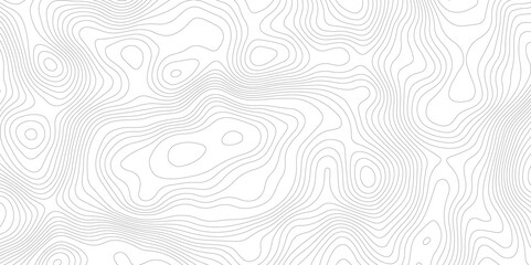 Topography and geography map grid abstract backdrop, Modern design with White background.