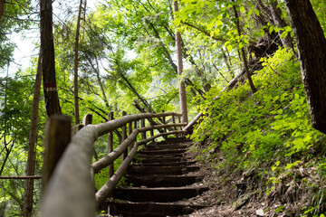 Treppe im Wald am Wanderweg in S&uuml;dtirol