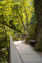 Gaul Schlucht in Lana, Südtirol. Schlucht in Südtirol an einem sonnigen Tag.