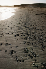 A close-up of the black beach during sunset in Tarajalejo
 In the Canary Islands, Spain 