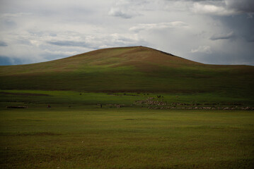 Mongolian local family live in the Ger between mountains and river, trees and lakes