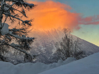 Famous Mount Yotei in early morning light, crowned with a glowing orange cloud. Winter view of Japanese landmark at sunrise, framed by a snowy tree. Beautiful warm color contrast against icy blue snow