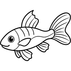 Albino Corydoras fish on white background