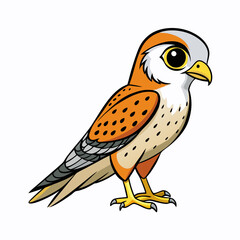 illustration of a American Kestrel bird
