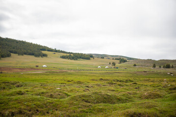 Fototapeta premium Mongolian with beautiful mountains, wide steppes and green pastures