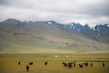 Mongolian with beautiful mountains, wide steppes and green pastures