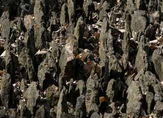 The texture of a raw, sharp stone.