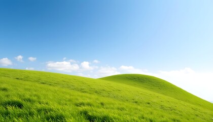 Obraz premium green grassland landscape isolated on white or transparent