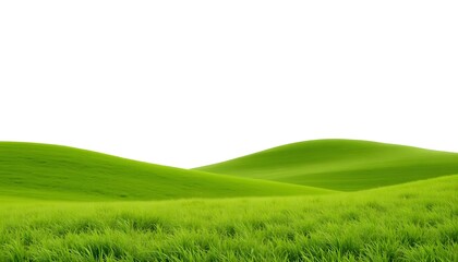 Fototapeta premium green grassland landscape isolated on white or transparent
