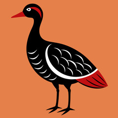 illustration of a beautiful bird