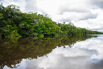 Fototapeta premium PHOTOS OF THE NANAY RIVER IN THE PERUVIAN AMAZON, BLACK WATER RIVER OR IGAPO IN THE FLOODABLE FORESTS NEAR THE ALLPAHUAYO MISHANA NATIONAL RESERVE