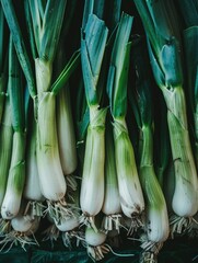 Fototapeta premium A bunch of green onions ready for sale.