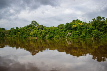 PHOTOS OF THE NANAY RIVER IN THE PERUVIAN AMAZON, BLACK WATER RIVER OR IGAPO IN THE FLOODABLE FORESTS NEAR THE ALLPAHUAYO MISHANA NATIONAL RESERVE