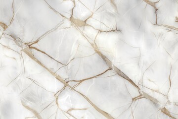 Seamless texture of white Carrara marble with veining.