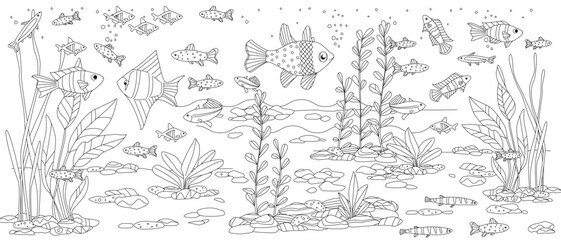 coloring book page for adults and children underwater landscape with seaweeds, fishes, pebbles