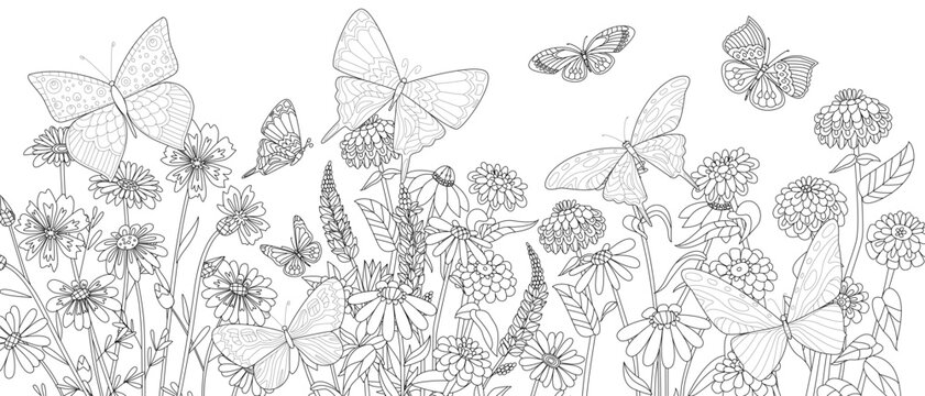 coloring book page for adults and children with panoramic floral field of wildflowers and butterflies