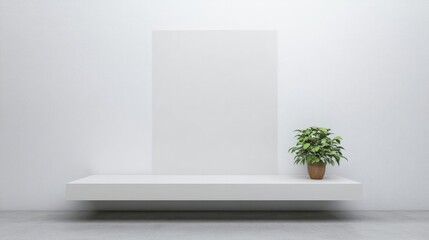 Minimalist scene featuring empty wall, floating shelf, and potte