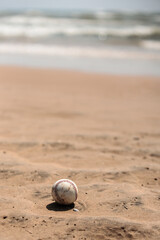 Baseball remains from weekend beach picnics along Lake Michigan within Kohler-Andrae State Park, Sheboygan, Wisconsin