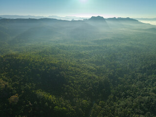 Aerial View The most beautiful waterfalls in Thailand..Thi Lo Su Waterfall The Largest Waterfall in Thailand.Thi Lo Su Waterfall stands tall as a hidden gem within Umphang Wildlife Sanctuary.