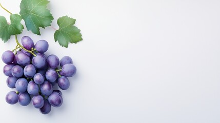 Fototapeta premium A single bunch of vibrant purple grapes displayed on a clean white background, showcasing their rich and juicy appearance