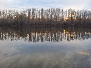 reflection of trees in the water