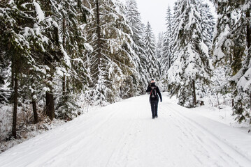 
A snowy path through the Chochołowska Valley, with a lone hiker walking ahead, their silhouette...