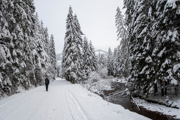 A snowy path winding through the Chocholowska Valley, surrounded by trees blanketed in fresh snow. The serene winter scene invites a sense of quiet and untouched natural beauty.