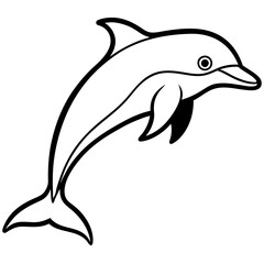 dolphin isolated on white background