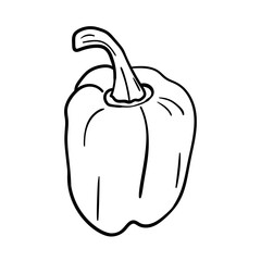 Bell pepper vector icon in doodle style. Symbol in simple design. Cartoon object hand drawn isolated on white background.