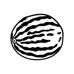 Whole watermelon vector icon in doodle style. Symbol in simple design. Cartoon object hand drawn isolated on white background.