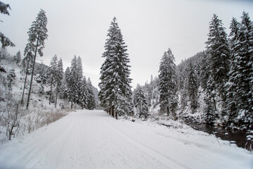 A snowy path winding through the Chocholowska Valley, surrounded by trees blanketed in fresh snow. The serene winter scene invites a sense of quiet and untouched natural beauty.