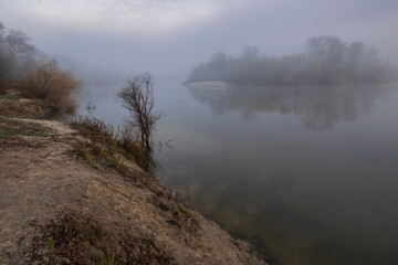 fog over the river and wood