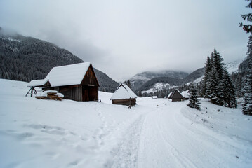 A serene winter scene in the Chocholowska Valley, showcasing traditional highlander huts nestled among snow-covered fields. These rustic shelters, add charm to the tranquil alpine landscape.