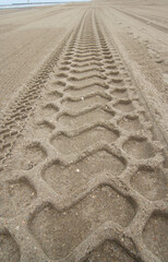 Bulldozer Tracks