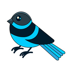 blue with dark color sparrow bird cartoon
