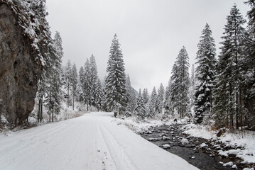A snowy path winding through the Chocholowska Valley, surrounded by trees blanketed in fresh snow. The serene winter scene invites a sense of quiet and untouched natural beauty.