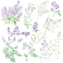 A set of lilac flower stickers in various shapes transparant background