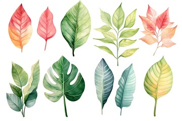 Obraz premium Green Leaf Collection: Artistic Watercolor and Detailed Digital Illustrations Featuring Clovers, Tropical Leaves, Falling Foliage, and Textured Dry Leaves - Perfect for Nature-Themed Designs and Decor