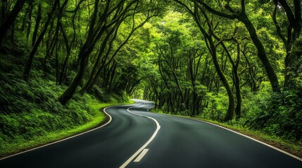 A curving road winds through a lush green forest with overhanging trees, creating a serene and inviting natural escape, perfect for a peaceful journey.