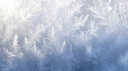 Delicate Frost Patterns Adorn Winter Windowpane