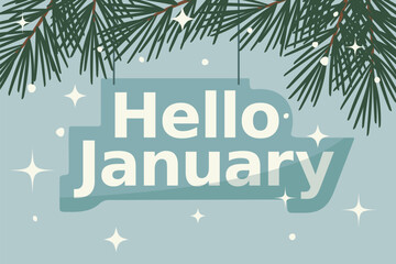 hello january banner and snowflakes, fir tree branches and stars- vector illustration