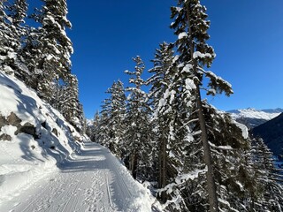Excellently arranged and cleaned winter trails for walking, hiking, sports and recreation in the area of the tourist resort of Davos in the Swiss Alps - Canton of Grisons, Switzerland (Schweiz)