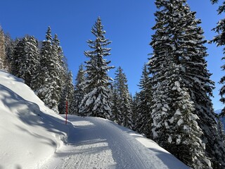 Excellently arranged and cleaned winter trails for walking, hiking, sports and recreation in the area of the tourist resort of Davos in the Swiss Alps - Canton of Grisons, Switzerland (Schweiz)